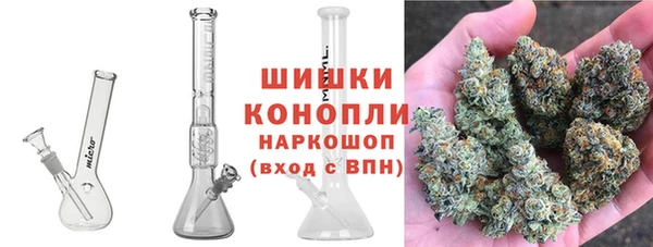 jwh Пересвет