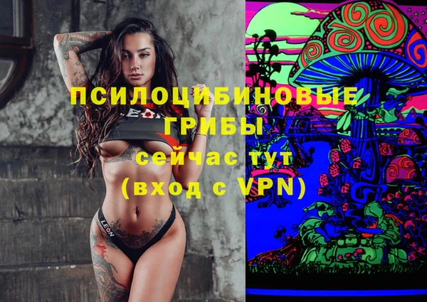 jwh Пересвет