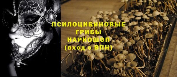 винт Переславль-Залесский