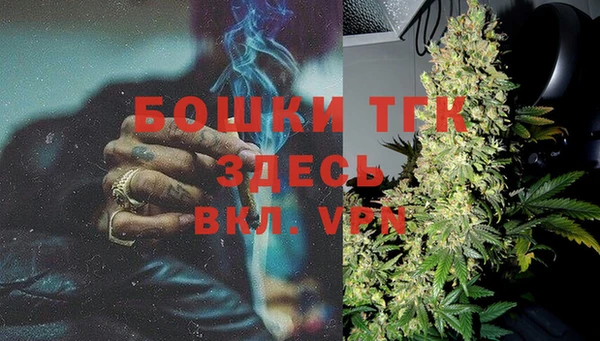 jwh Пересвет