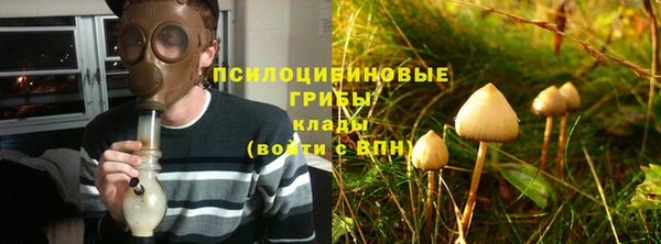 СК Абаза