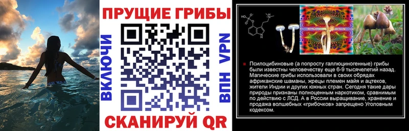 Галлюциногенные грибы мицелий  как найти закладки  Советск 