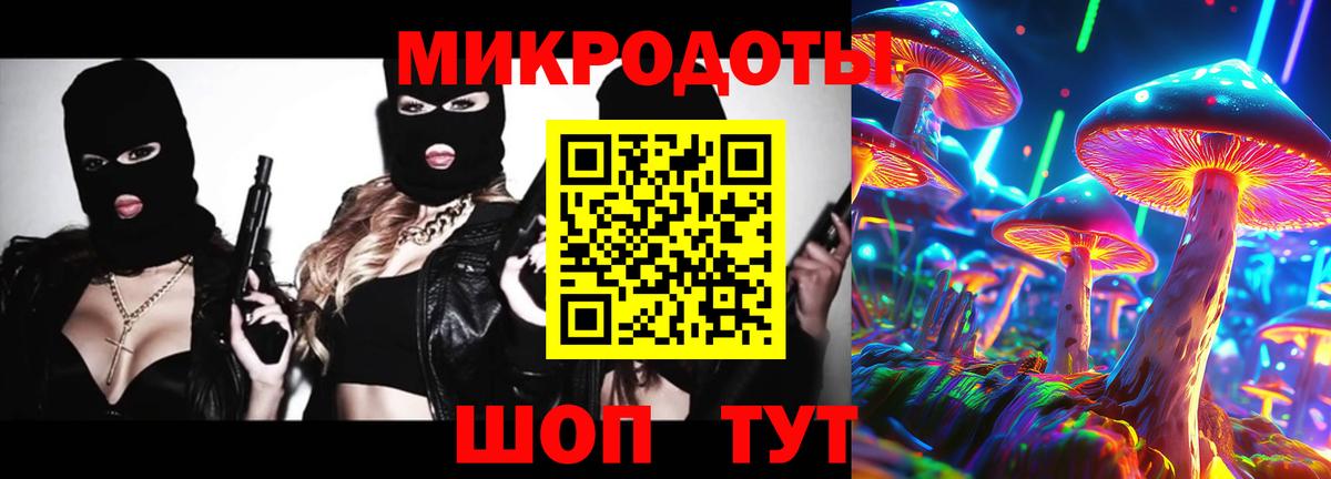 Советск  Галлюциногенные грибы Psilocybine cubensis  Вход с VPN 